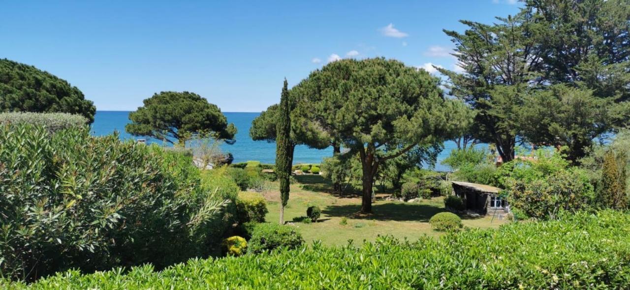 Villa I Merli Nous Contacter Avant Reservation 생플로랑 외부 사진